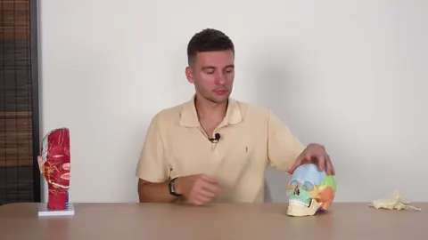 Maxilla technique demonstration